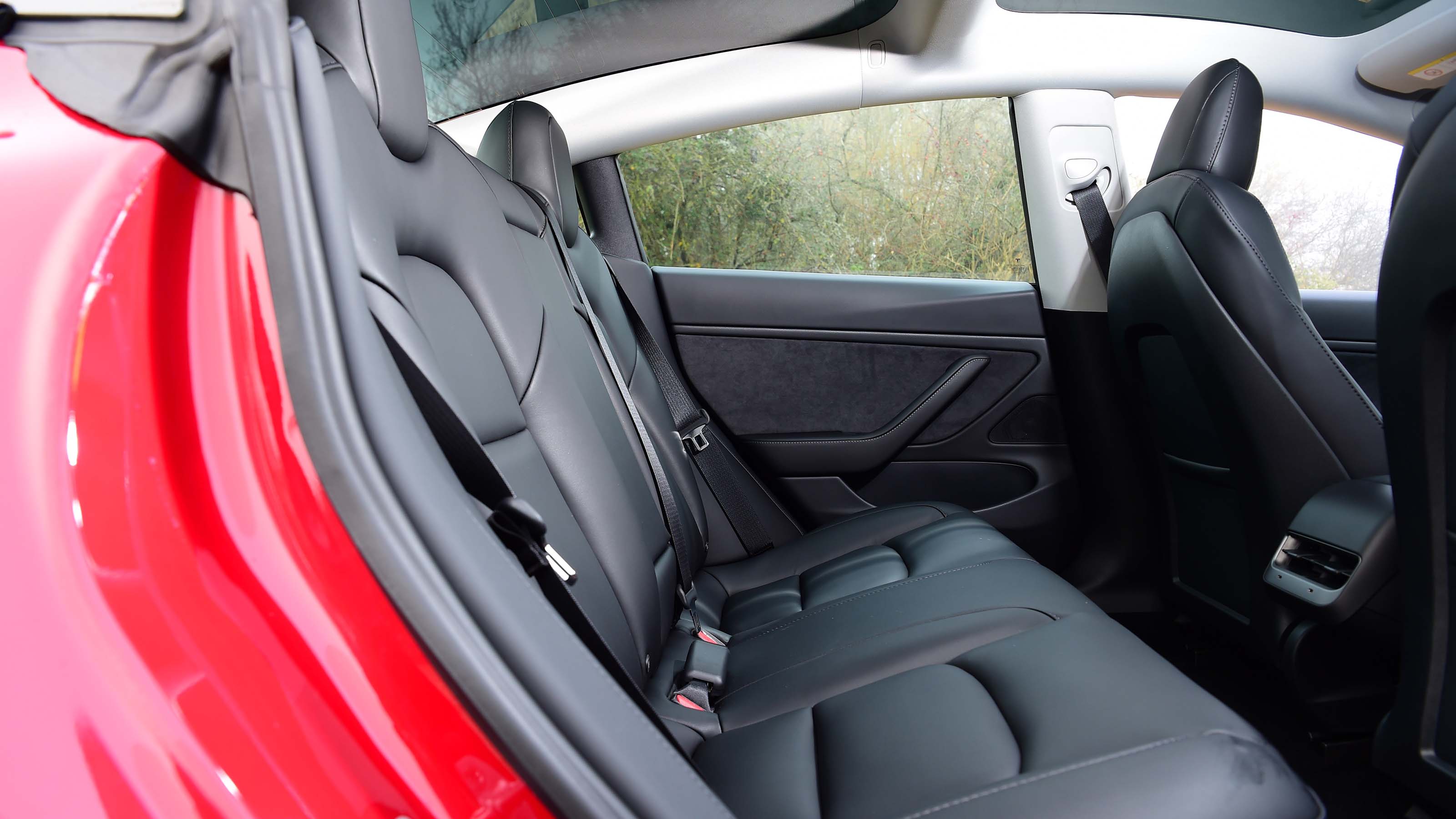 tesla 3 backseat