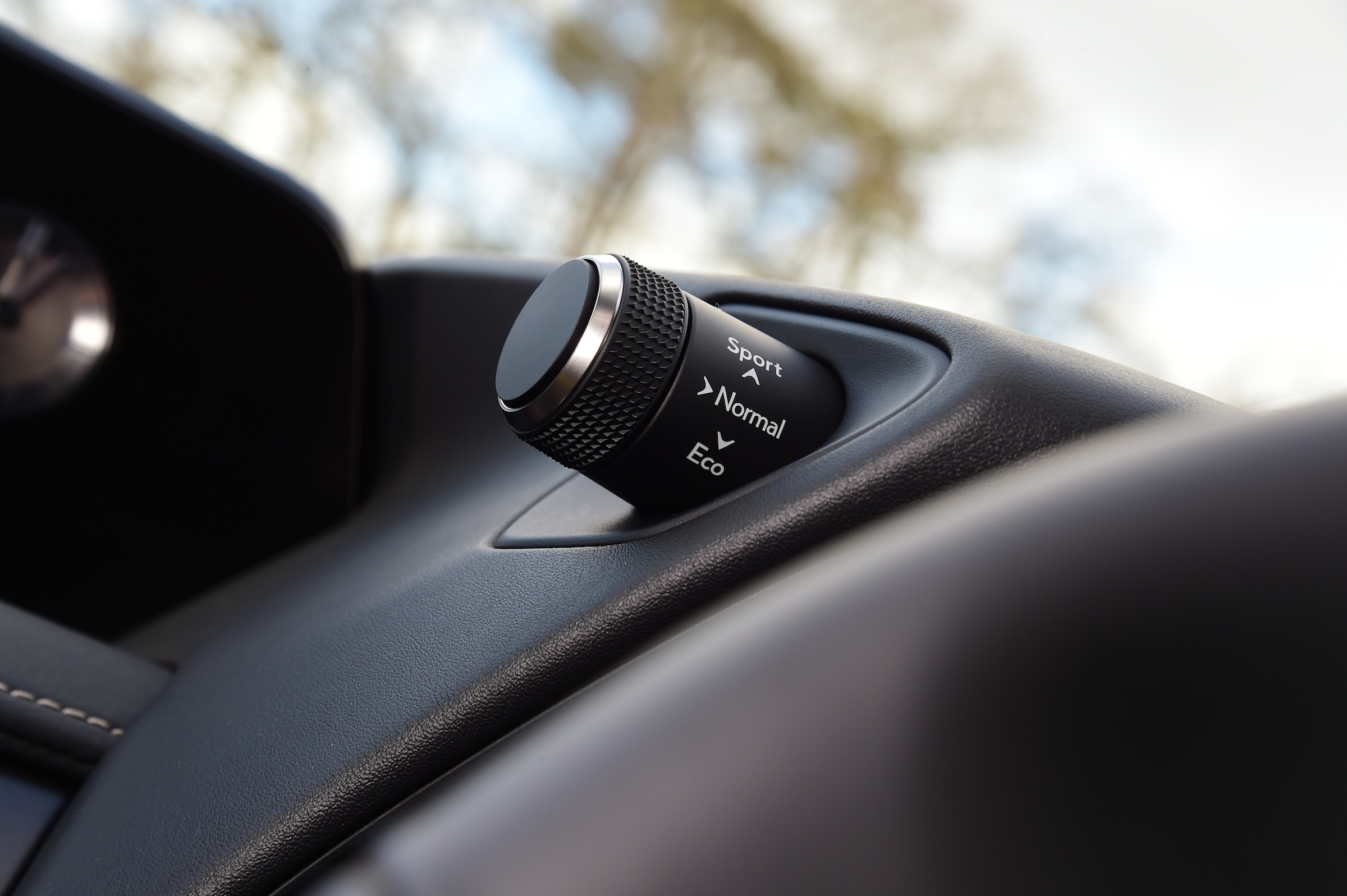 Lexus UX 250h performance, top speed & engine | DrivingElectric