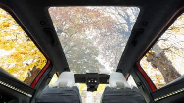 Renault Scenic - roof clear