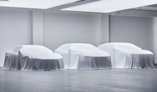 Polestars under cover